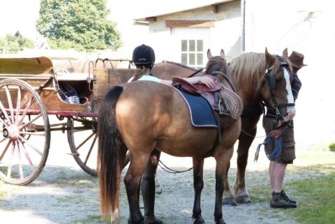 Gîte et Relais Equestre de Marie