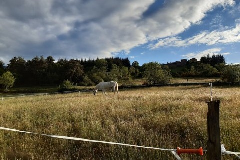 Etape cavalière du Balayn