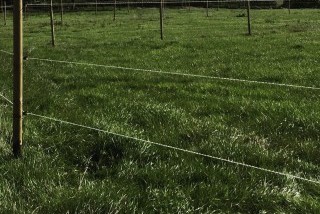 Hébergements randonnées équestres Le Clos de l’Angley Hébergements randonnées équestres Le Clos de l’Angley