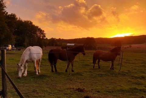 CB tourisme equestre