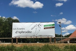 Les écuries d'Aphrodite