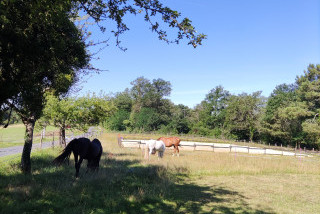 Bella becca ranch