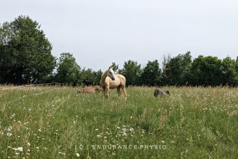 Écrin de verdure