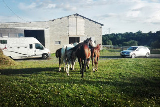 Les Écuries du Lambon