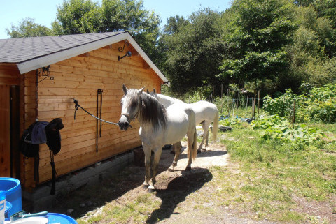 Ferme peyrot