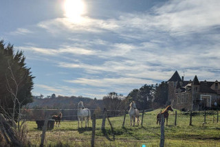 Gîtes de lascaminade