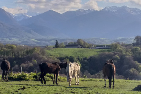 Les 3 Collines