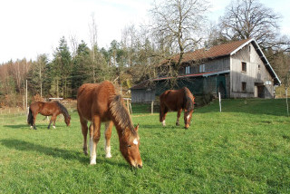 Ferme Aux Moineaux