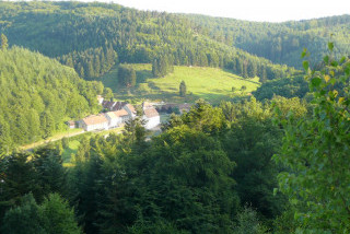 Ferme équestre les Balzanes