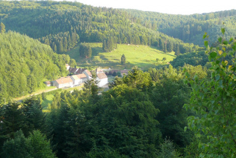 Ferme équestre les Balzanes