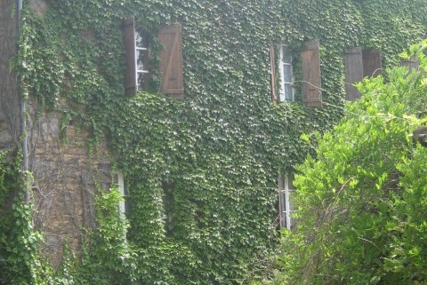 Le Moulin de Vaux