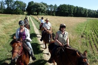 Les écuries de la Chiffogne