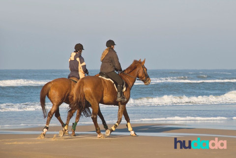 5 idées géniales pour partir en vacances avec son cheval en toute tranquillité !