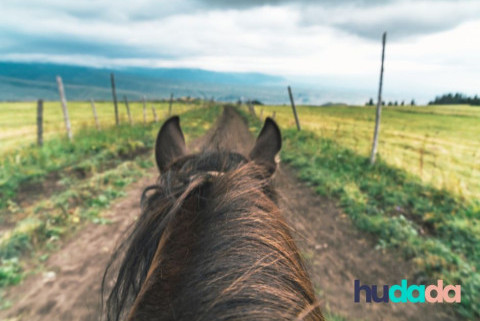 Comment trouver des balades à cheval autour de chez soi ?