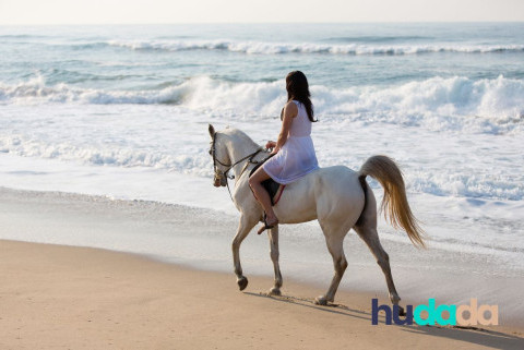 Balade à cheval sur la plage : nos meilleures randonnées en bord de mer !