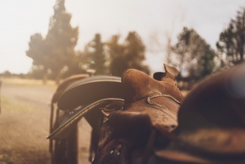 Comment équiper un cheval et un cavalier pour une randonnée à cheval ?