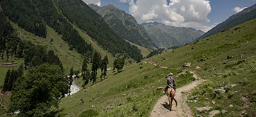 Randonnée équestre Montagne